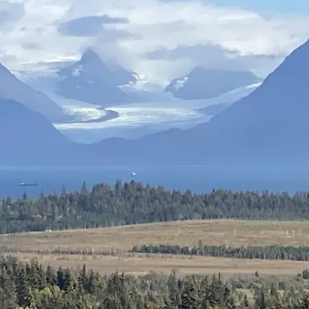 Apartment, Walkout Basement, Central Homer, Views! Esterno foto